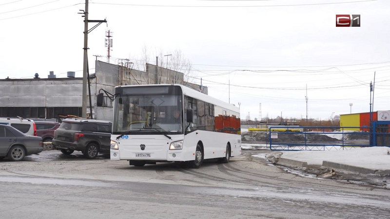 Первые 10 новых автобусов марки ЛиАЗ начали курсировать по Сургуту