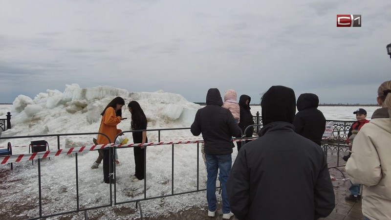 Посмотреть на ледоход в речпорту Сургута собрались сотни жителей