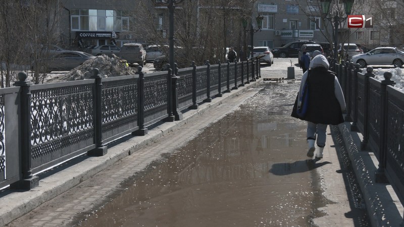 В Сургуте приступили к ремонту пешеходного моста в парке «За Саймой»