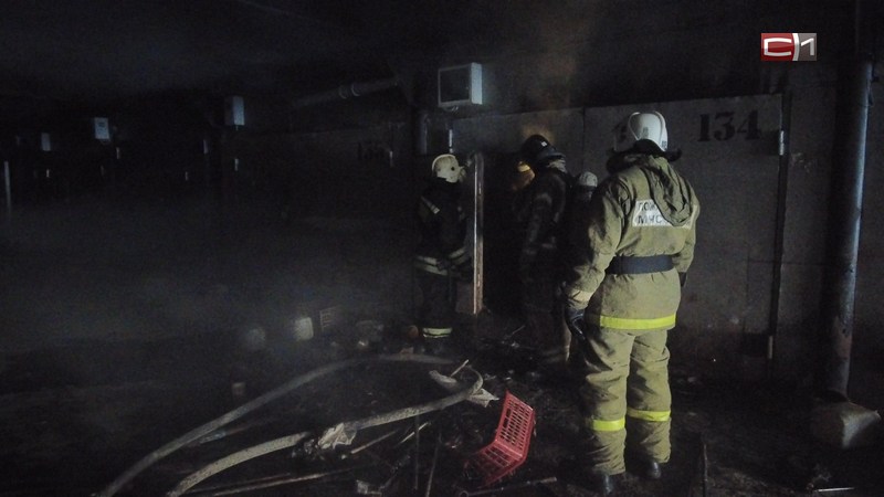 Коза стала жертвой пожара в одном из гаражных кооперативов Сургута
