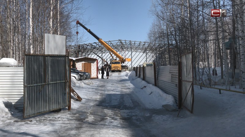 Четыре новых спорткомплекса планируют открыть в Сургуте к концу года