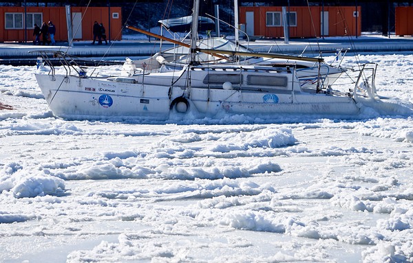 Впервые за 30 лет Черное море покрылось льдом 12