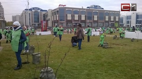 Во время экологической акции в Югре высадят 14 тысяч молодых деревьев