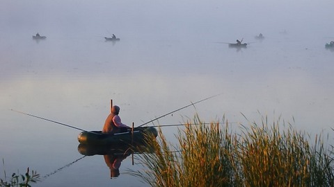 Рыбаки могут принять участие в разработке новых правил закона "О любительском рыболовстве"