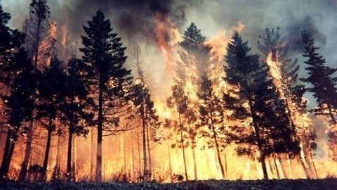 Югорские десантники помогают соседним регионам в борьбе с лесными пожарами
