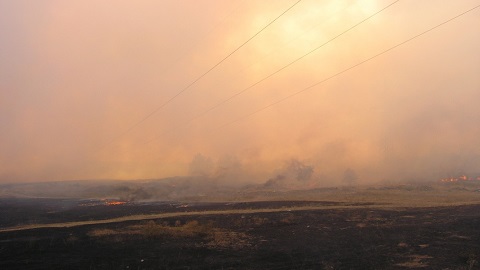 Режим ЧС в Волгоградской области. С огнем борются более 5 тысяч пожарных