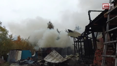 В дачном товариществе Сургута горел дом с постройками: тушить пожар приехали 4 машины