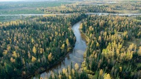Самаровские лесничие приняли 80% земельных участков после нефтяных работ 