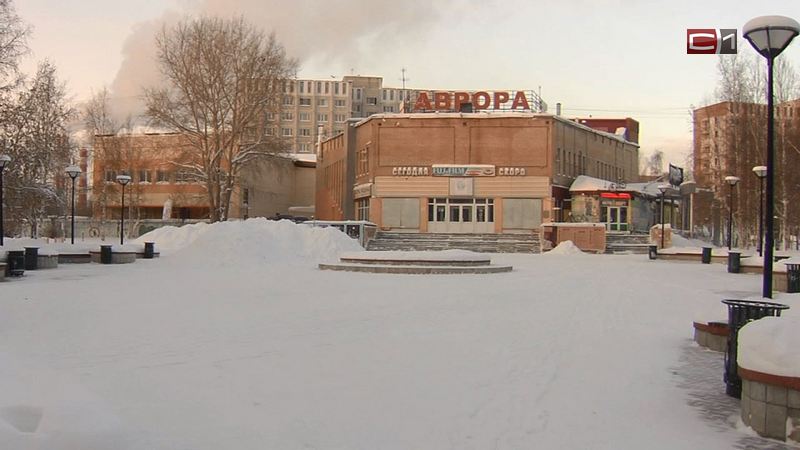 Реконструкцией здания театра «Петрушка» займутся частные инвесторы