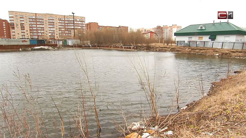 Стихийные «бассейны» в Сургуте становятся местами детских игр - и опасных приключений