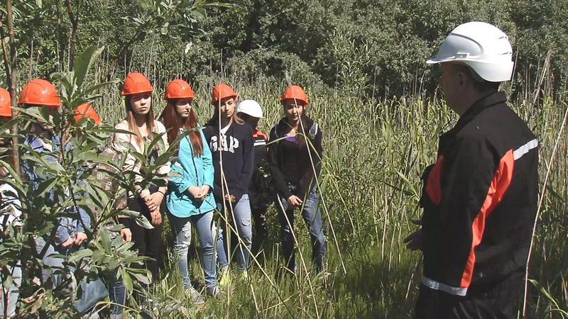 И даже северные орхидеи! Студенты-экологи СурГу посмотрели, как работает метод лесной рекультивации земель нефтяниками