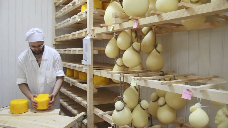 Сыр итальянский, производитель тюменский: сургутяне смогут полакомиться качоттой и качокавалло
