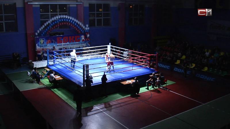 Первый масштабный турнир по боксу: Сургутский район делает ставку на развитие спорта