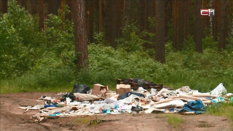 В Тюменской области поиски «хозяина мусора» превращаются в настоящее расследование