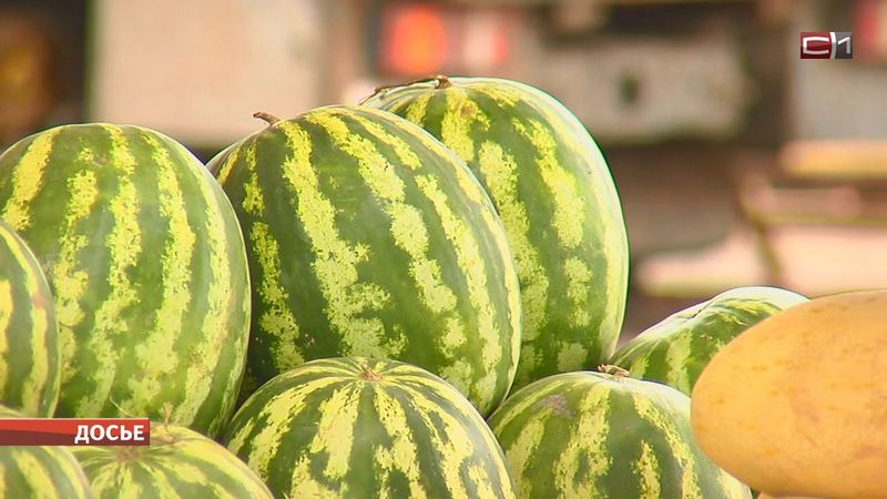 Без риска для здоровья: можно ли в Сургуте покупать арбузы в начале лета
