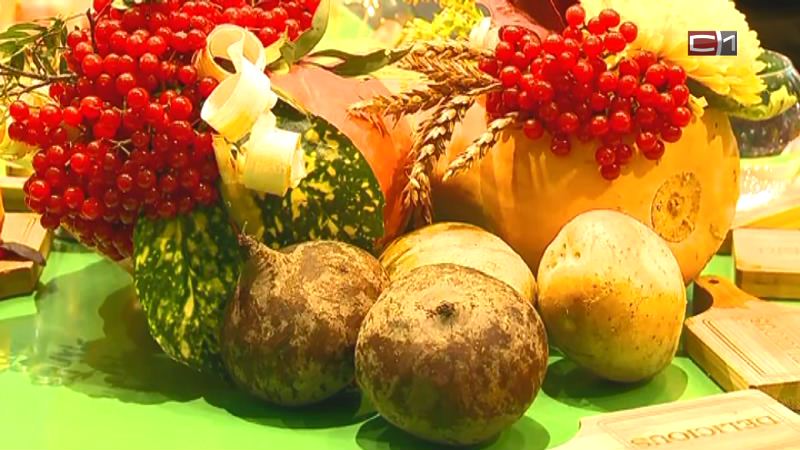 Сельхозпредприятия Тюменской области соревнуются за звание «Высокое качество продукции»
