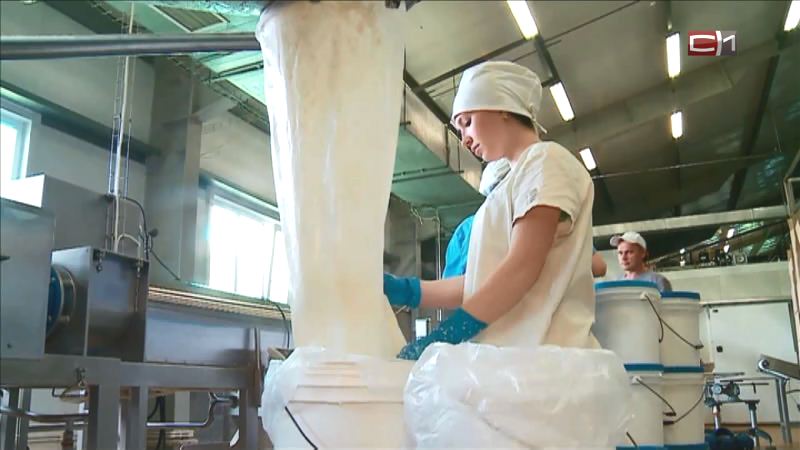 В Тюменской области хотят возродить производство сухого и сгущенного молока