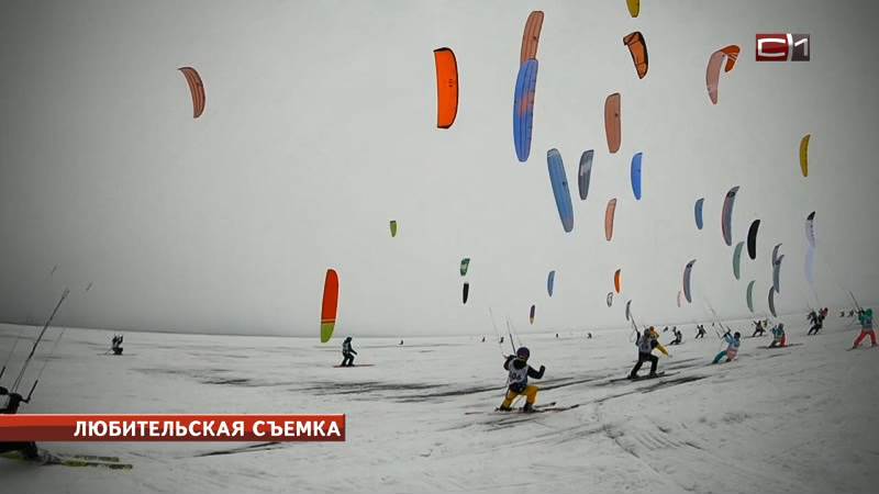 Шесть медалей привезли сургутские кайтеры с «Кубка Сибири»