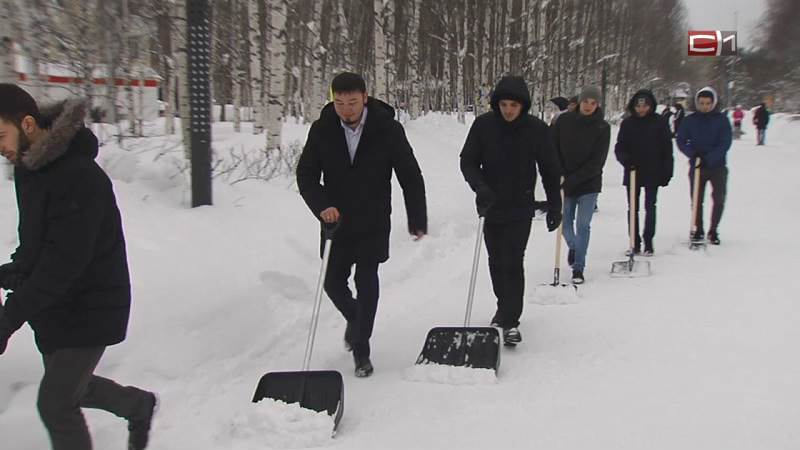 Снега много, нужно чистить. «Снежный десант» в Сургуте стал еще больше