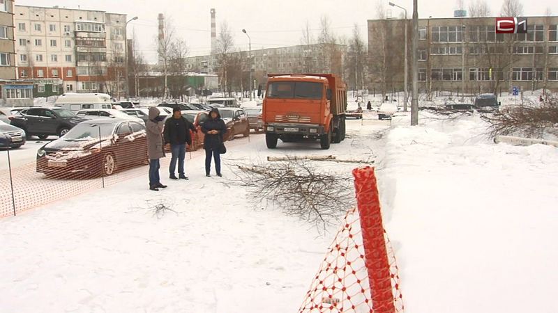 Вырубка деревьев под парковку у поликлиники в Сургуте вызвала споры