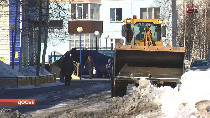 Власти Сургутского района хотят создать муниципальное предприятие по уборке снега