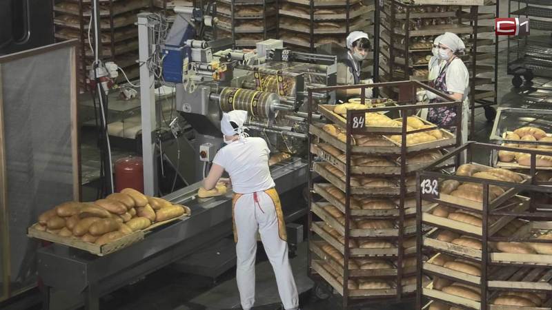 Будет ли в Сургуте хлеб? Как сейчас работает городской хлебозавод