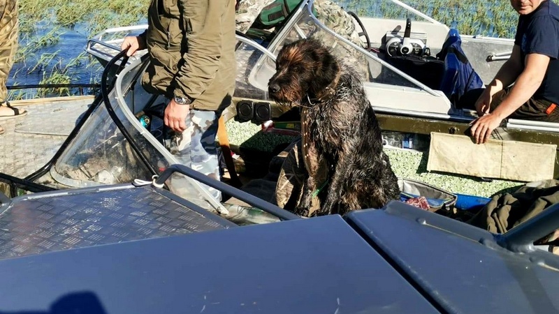 Трое в лодке, не считая собаки. В Югре спасли рыбаков с тонущего судна