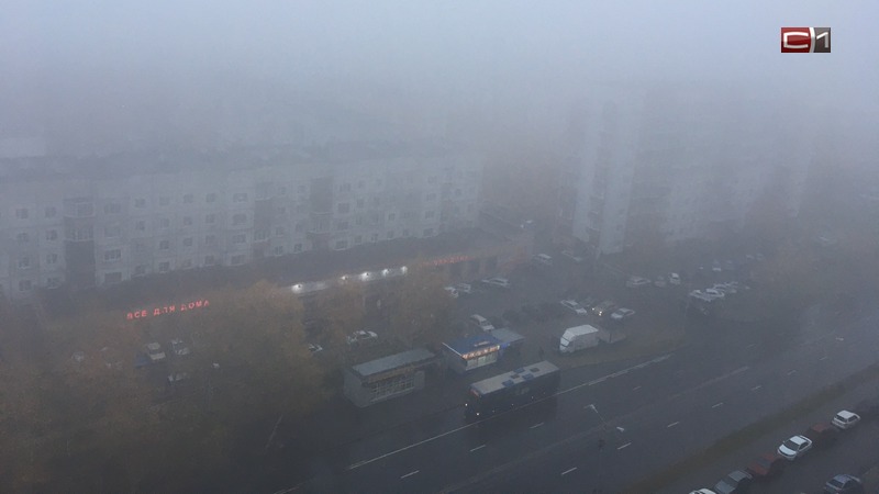 Из-за тумана в аэропорту Сургута задерживаются рейсы