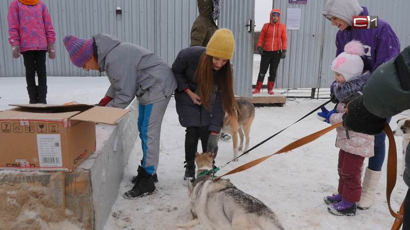 Волонтеры Сургутского района помогли приюту с кормом для животных