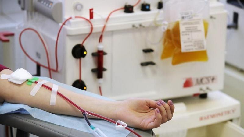 В сургутской Службе крови ждут доноров, переболевших COVID-19