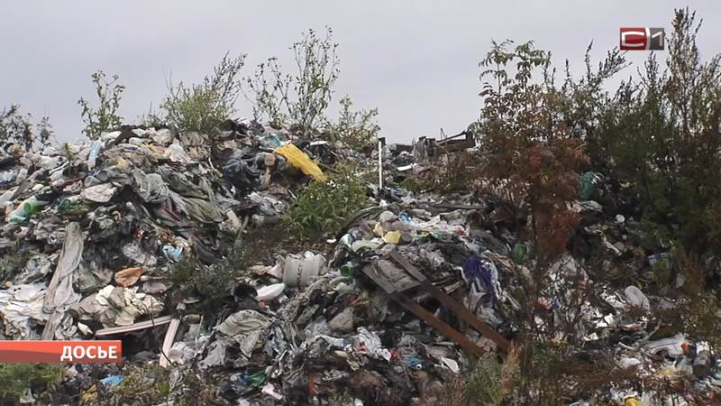 Что будет с мусором в Сургуте и какая судьба ждет закрытый полигон ТБО