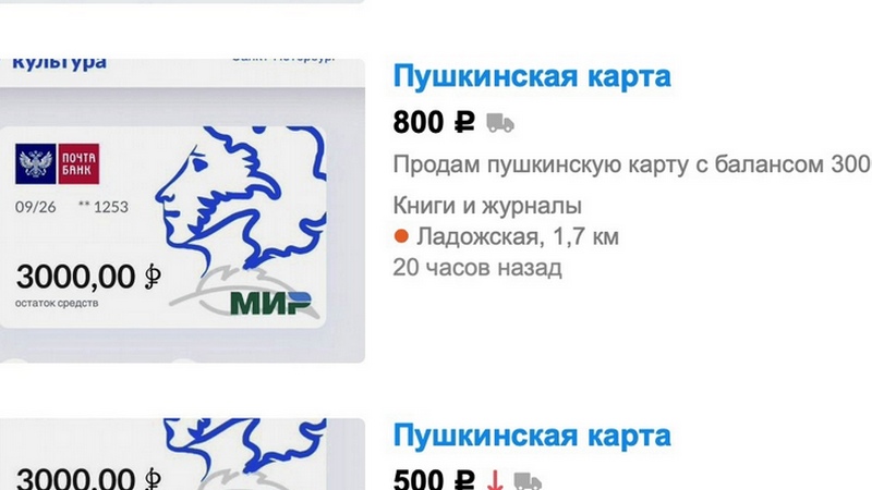 В Минкультуры предупредили о мошенниках, предлагающих купить «Пушкинскую карту»