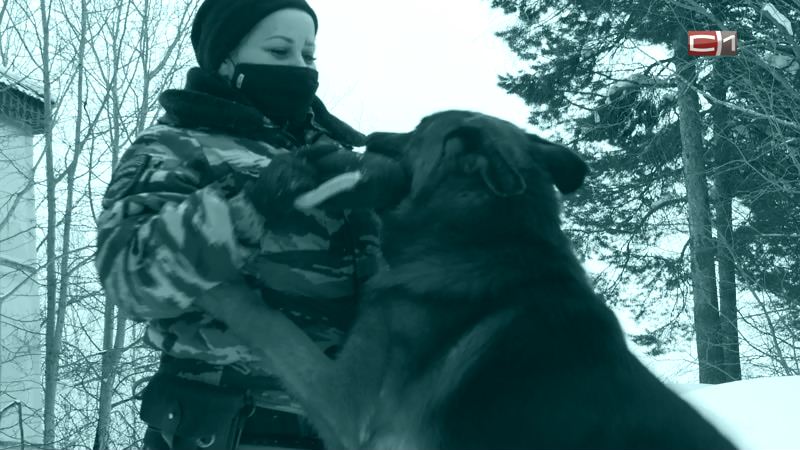 Как защититься от агрессивной собаки: советы от инспектора-кинолога УМВД Сургута