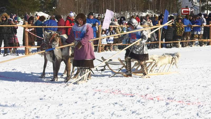 Вместо привычного дня оленеводов в Сургутском районе провели гонки на упряжках