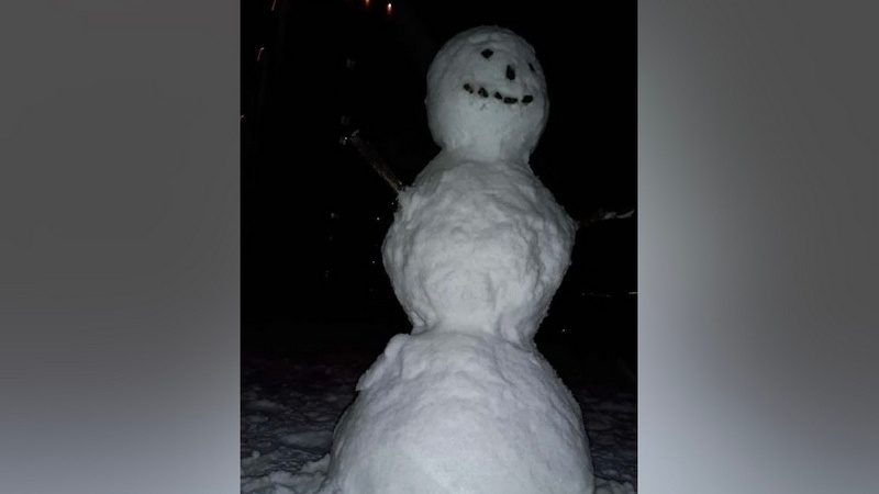 В Сургуте продают снеговика за один миллиард рублей