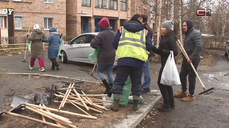 Сургутские чиновники вызвались убирать улицы от опавших листьев