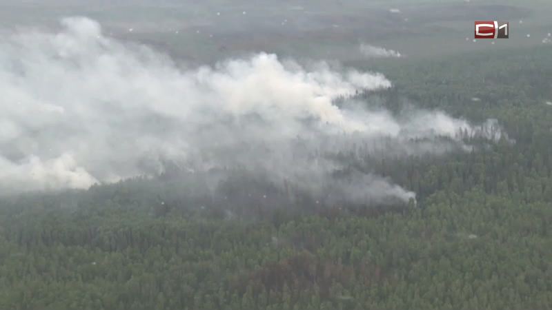 Ветер принес дымку от горящих в соседних регионах лесов в Югру