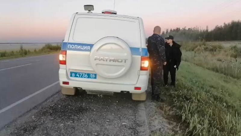 Полицейские задержали подозреваемых в убийстве медведя на трассе в Югре. ВИДЕО