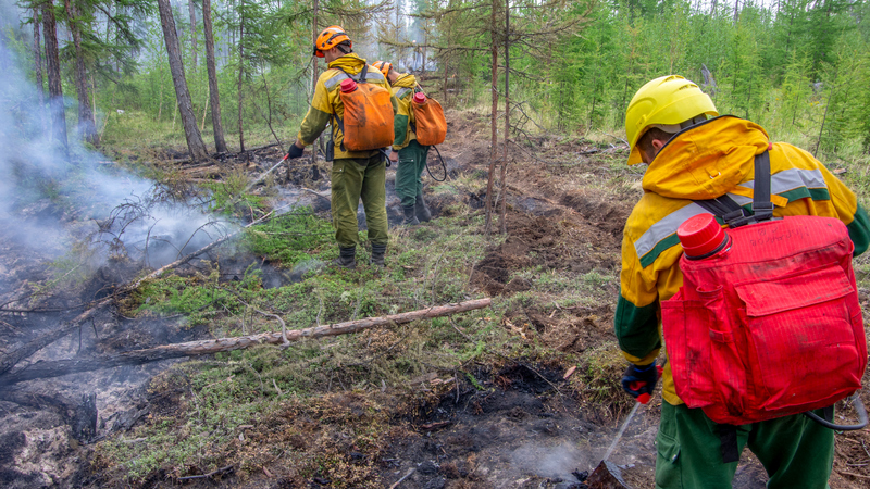 Югра вышла на первое место по площади лесных пожаров в стране