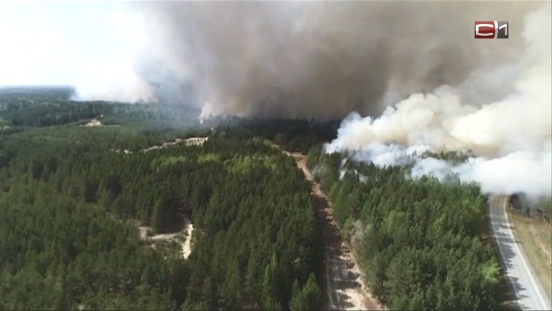 Лесные пожары снова действуют в Югре