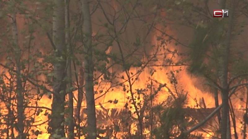 В одном из районов Югры снова ввели режим ЧС из-за лесных пожаров