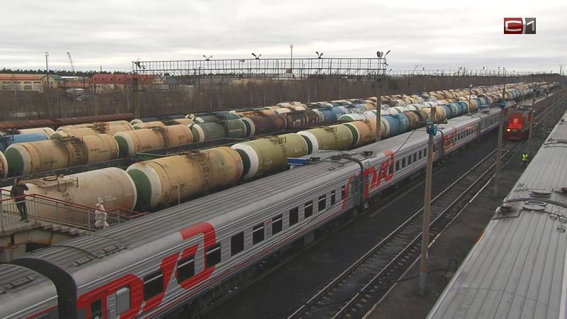 Напавшему на девочку в поезде «Сургут-Екатеринбург» насильнику вынесли приговор