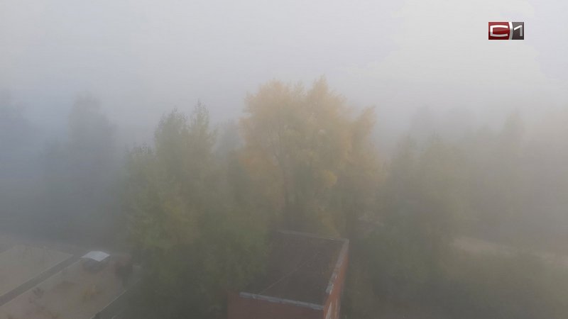 Плотный туман накрыл Сургут ранним утром