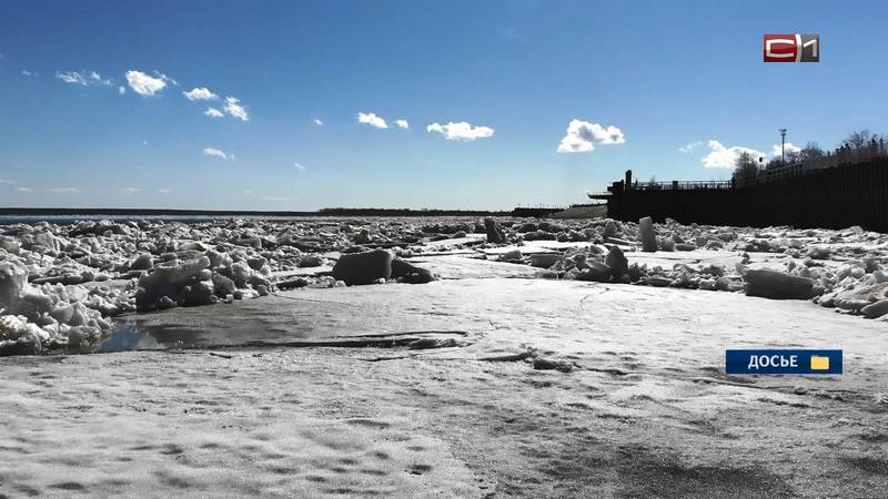 Ледоход начался в Югре — в МЧС оценили уровень воды