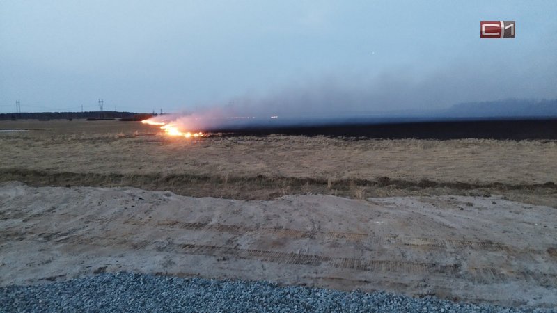 В Югре пожарами охвачено более 900 га