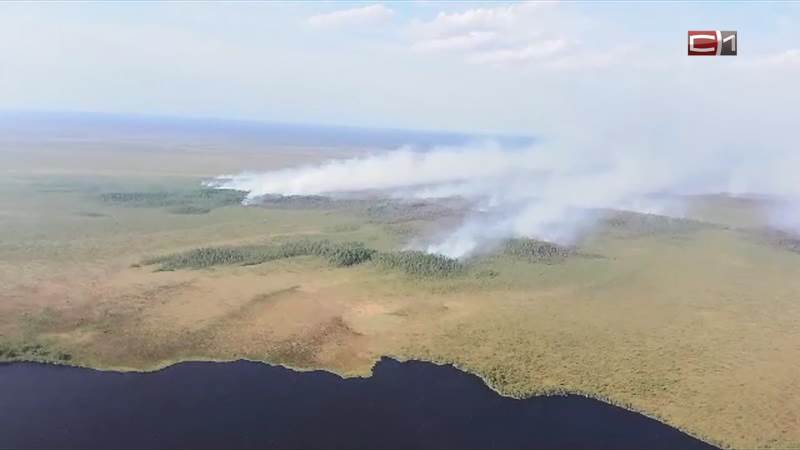 В борьбе с лесными пожарами в Югре будут помогать камеры видеонаблюдения
