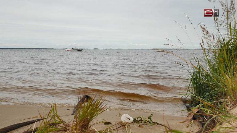 Найдено тело мужчины, утонувшего в водохранилище Сургутской ГРЭС-2