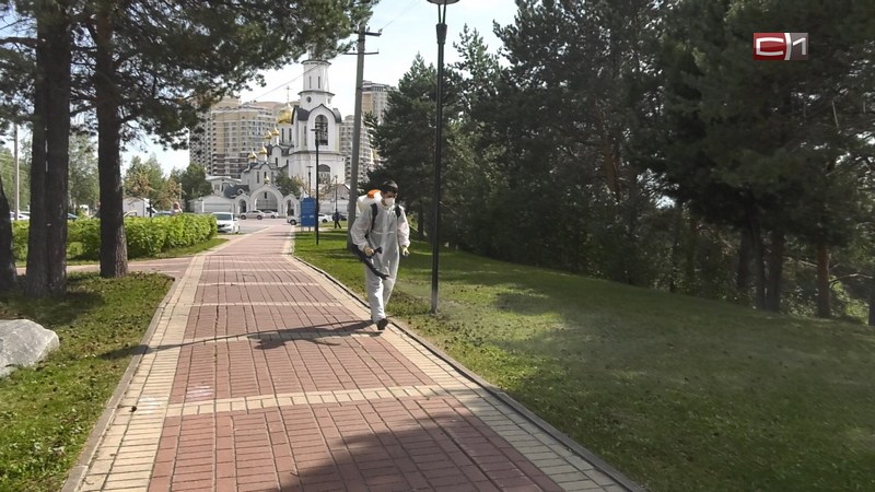 Третий этап: парки и скверы Сургута вновь обрабатывают средствами против клещей