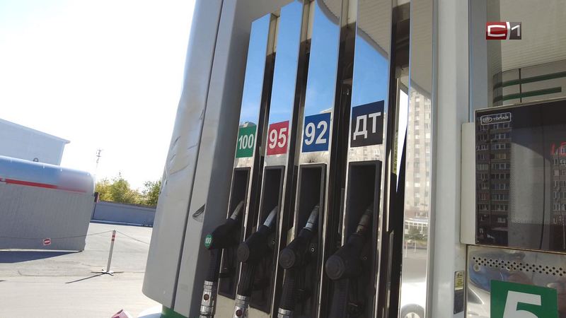 В правительстве РФ пообещали принять меры в связи с ростом цен на бензин