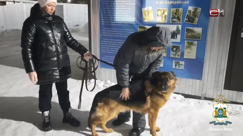 Искали погибших, охраняли обвиняемых — в Сургуте проводили на пенсию служебных собак